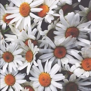 Meet your Posher, Anabell